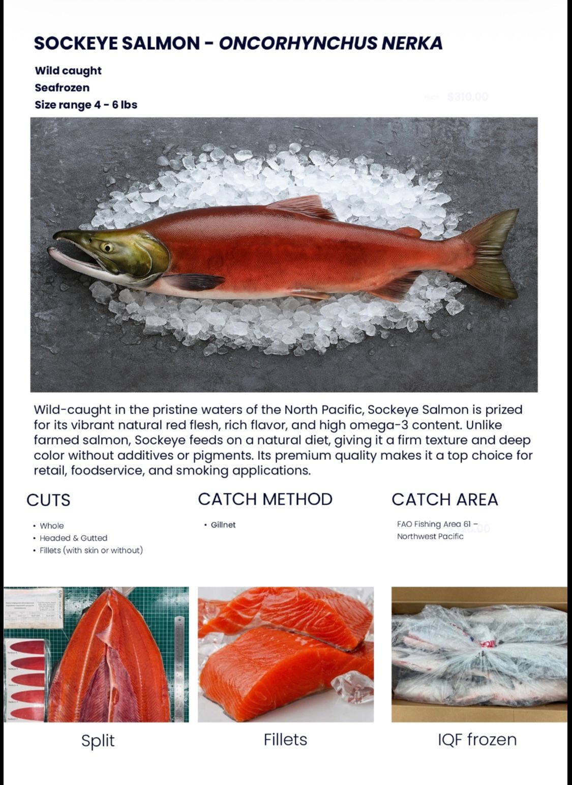 Sockeye Salmon Datenblatt